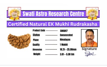 १००८ मंत्रों द्वारा अभिमंत्रित energised एक मुखी जागृत रुद्राक्ष