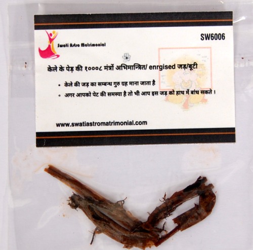 गुरु ग्रह के लिये केले के पेड़ की १०००८ मंत्र अभिमंत्रित/ enrgised जड़/बूटी