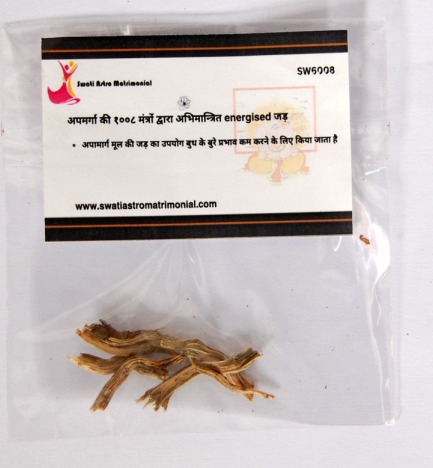 बुध गृह के लिए अपामार्ग की १०००८ मंत्रों द्वारा अभिमंत्रित energised जड़