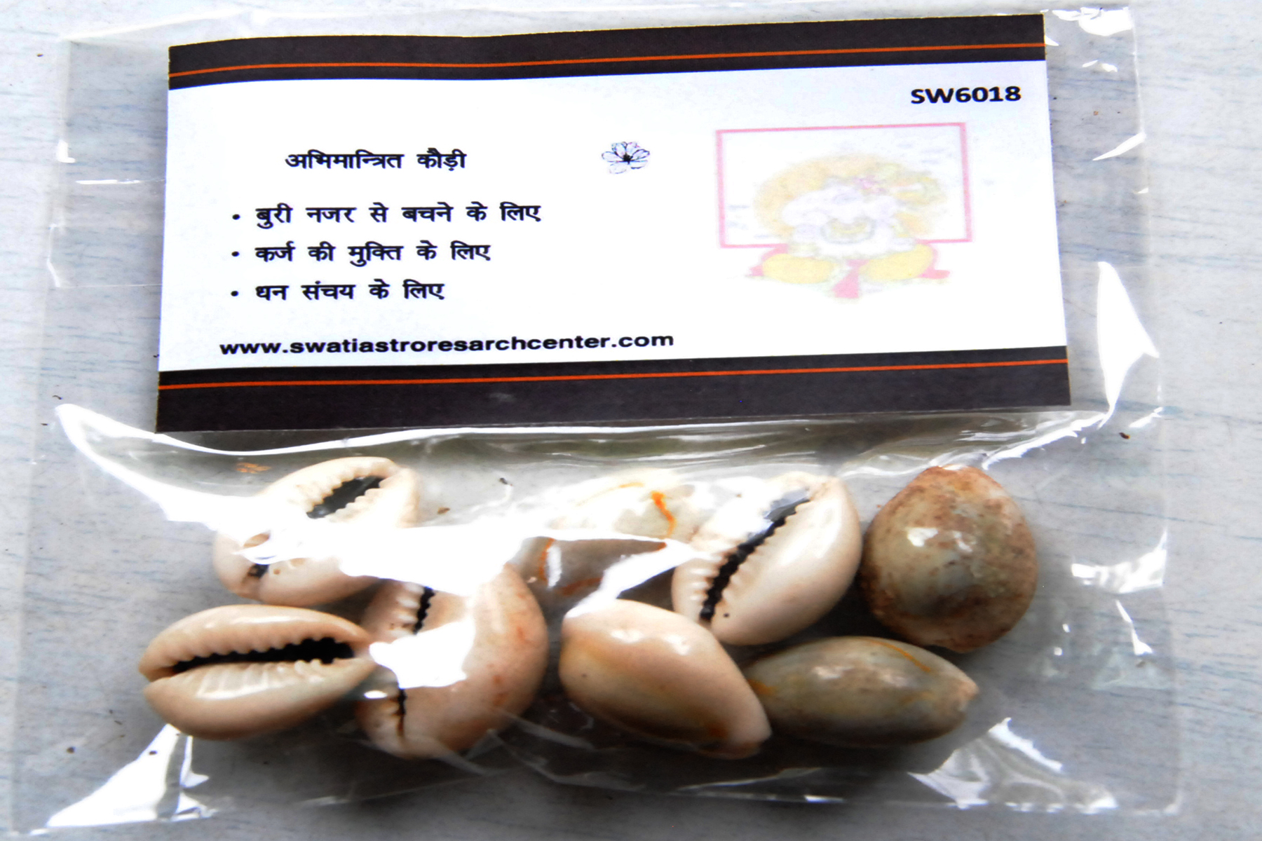 अभिमंत्रित प्राणप्रतिष्ठति कौड़ी
