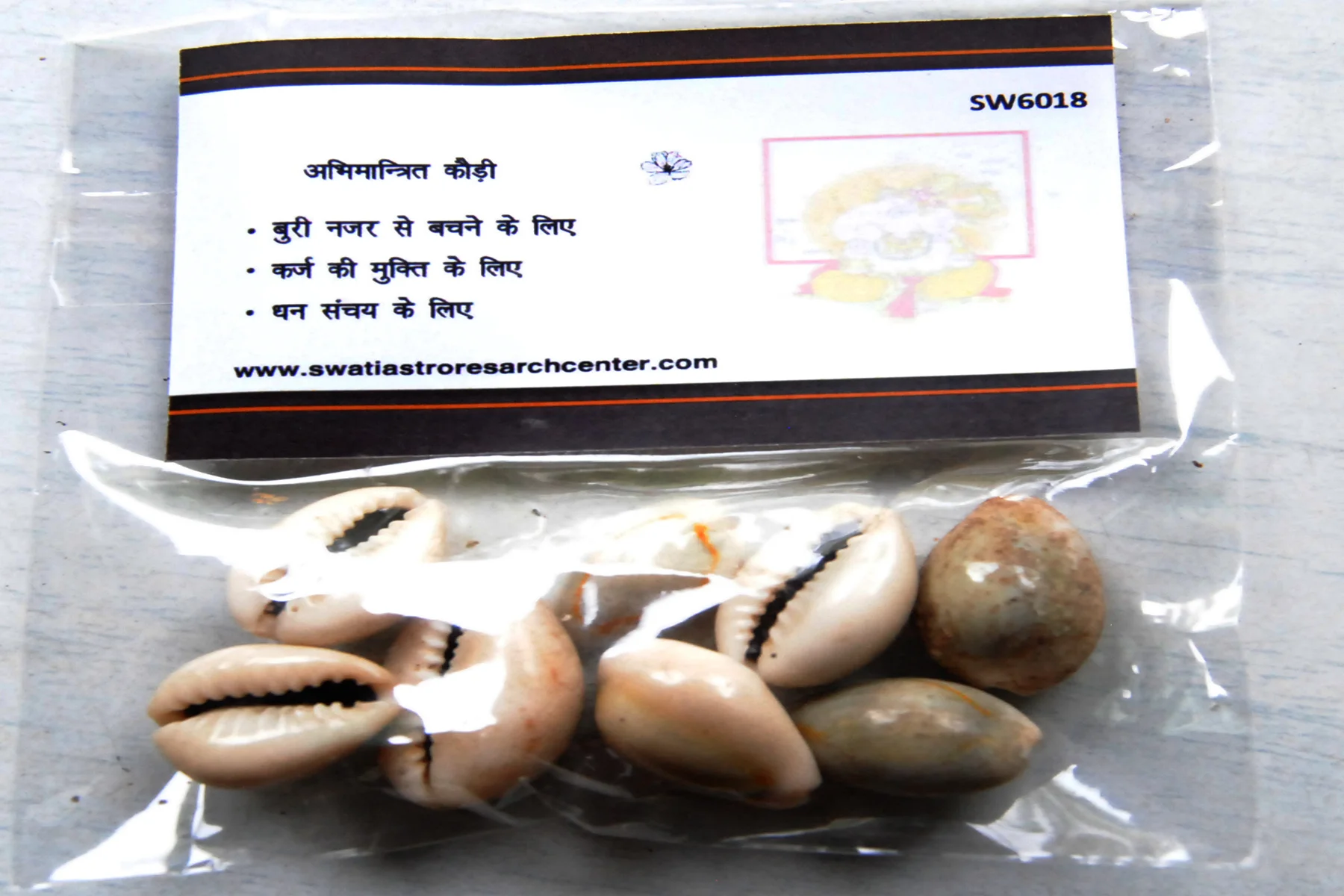 अभिमंत्रित प्राणप्रतिष्ठति कौड़ी